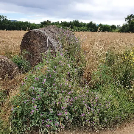 Ampuries Delta شقة